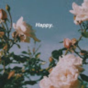 Meet your Posher, Paulette